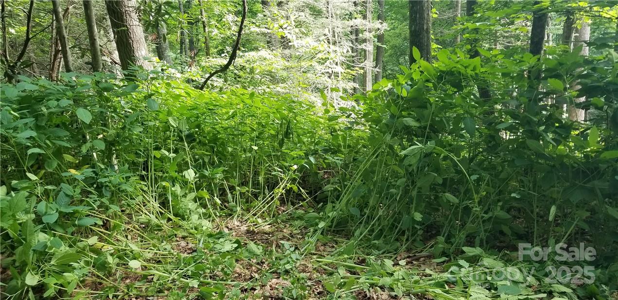 Spring Lake Estates - Land