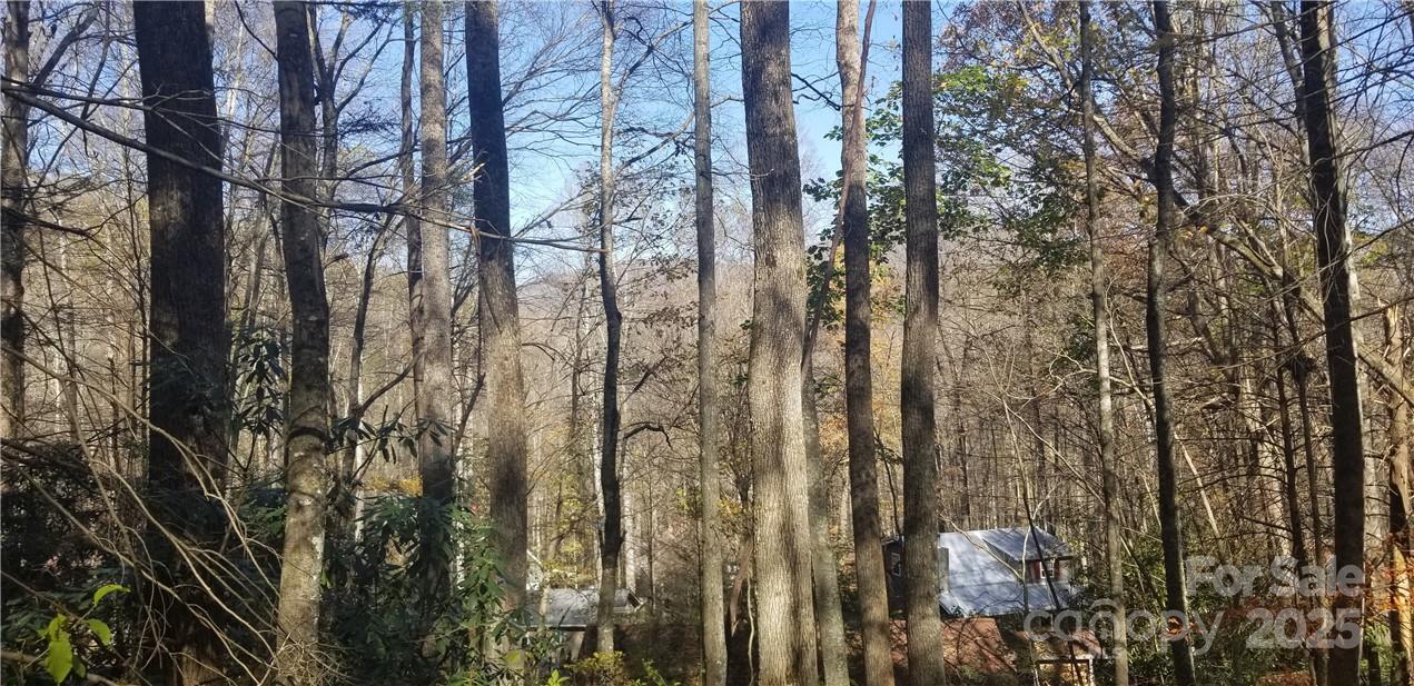 Spring Lake Estates - Land