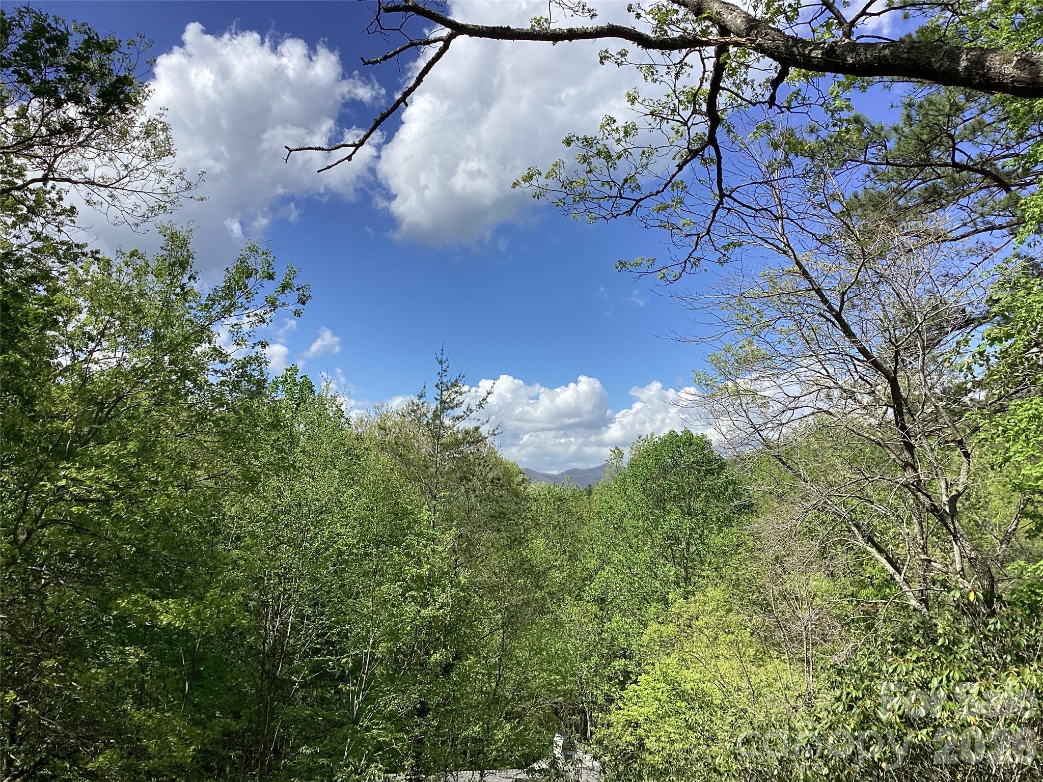 31 Rhododendron Road