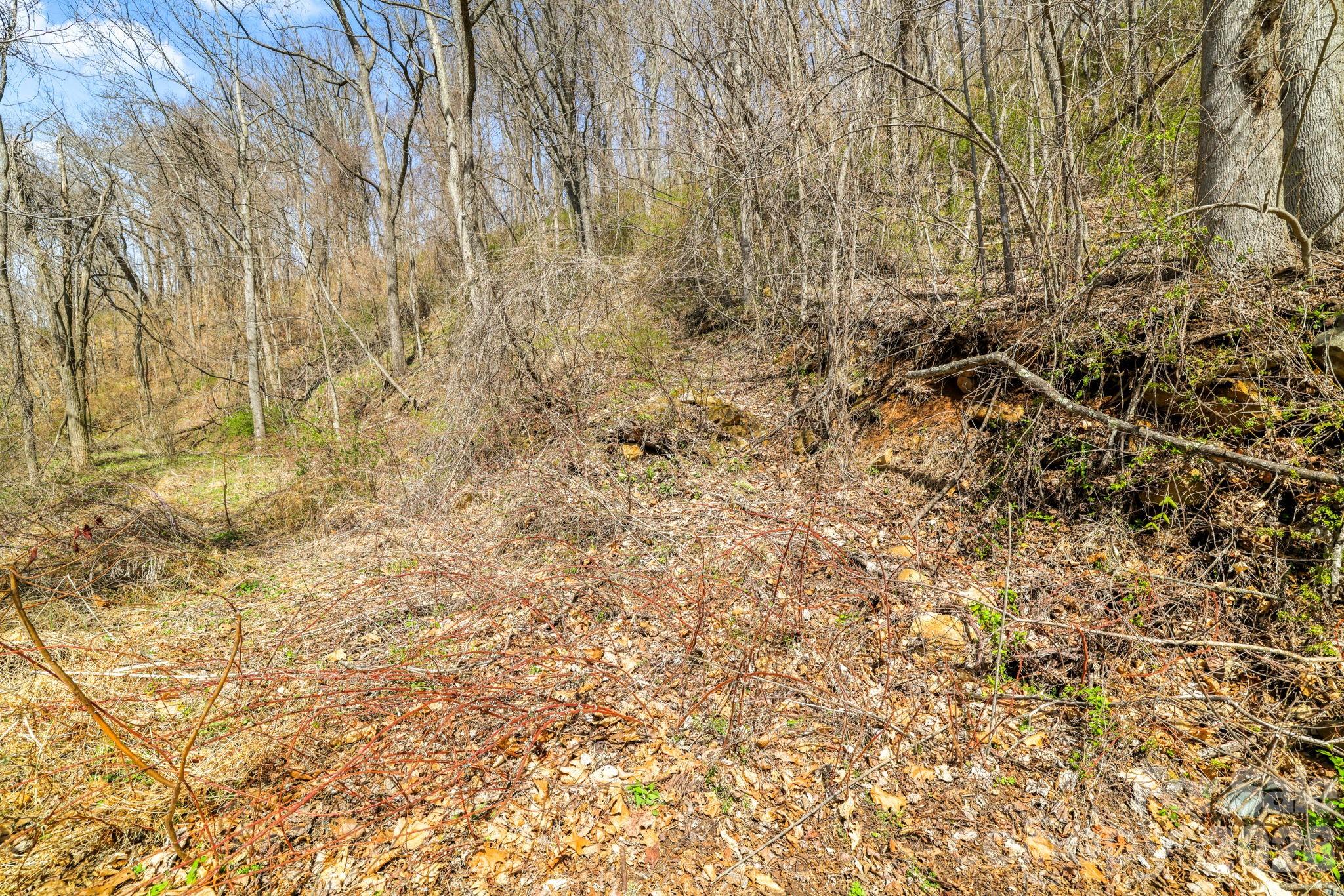 00 Panorama Drive 16