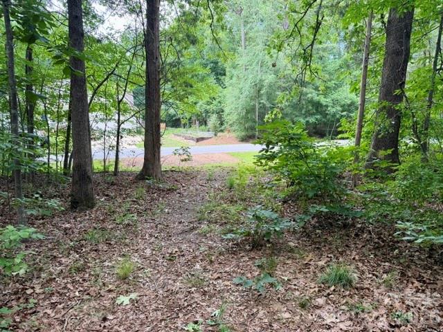 Pilgrim Forest - Land