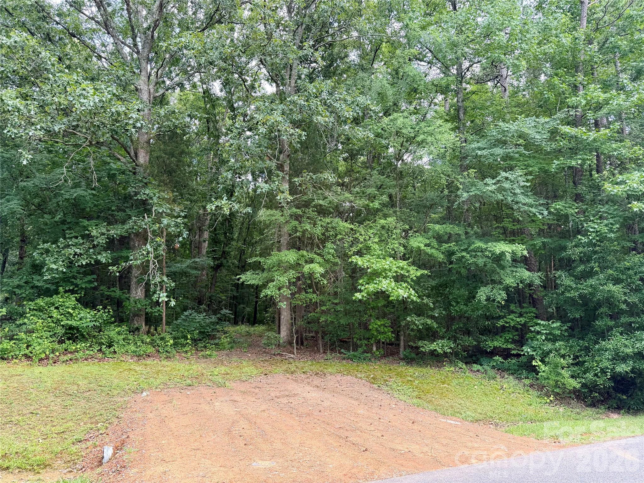 Pilgrim Forest - Land