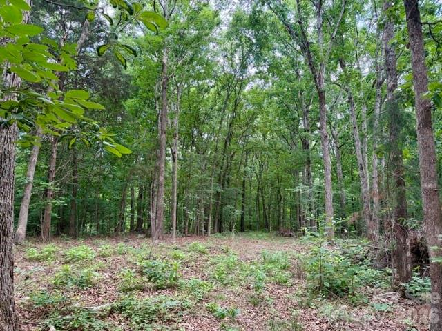 Pilgrim Forest - Land