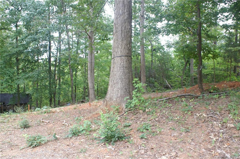 Caroland Acres - Land