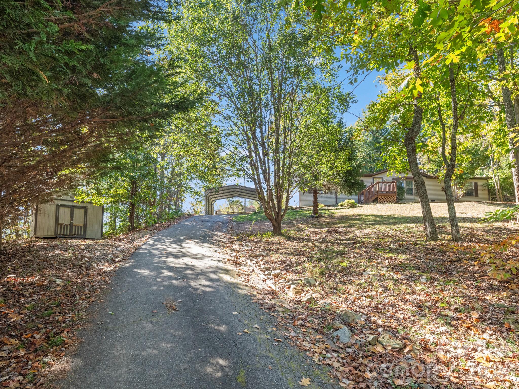 115 Sleepy Forest Drive