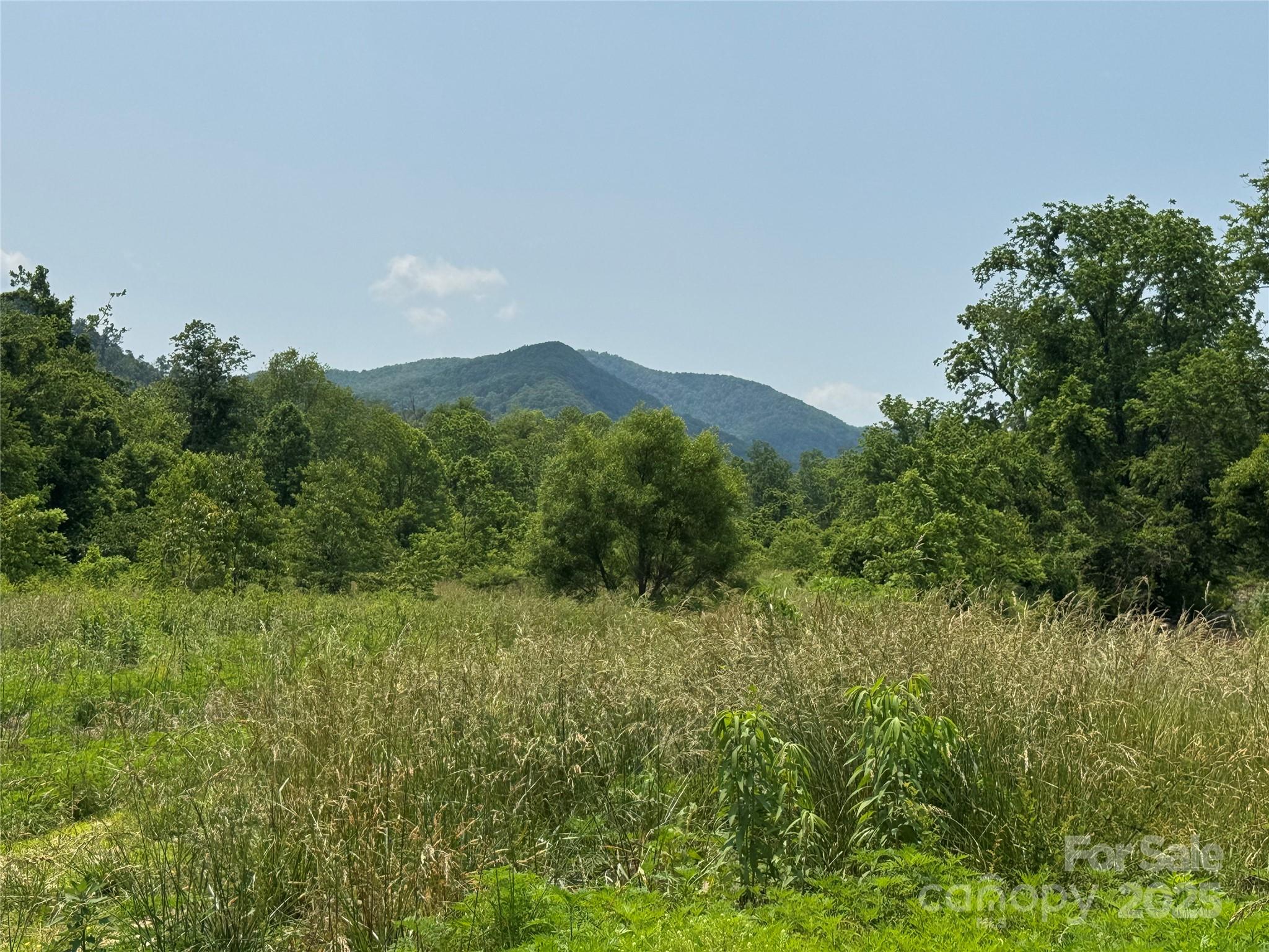 187 Hodges Creek Road