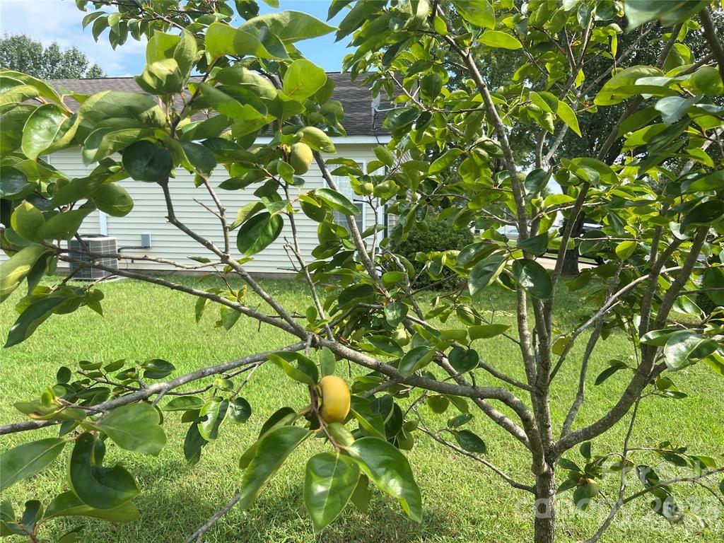Turtle Rock - Residential