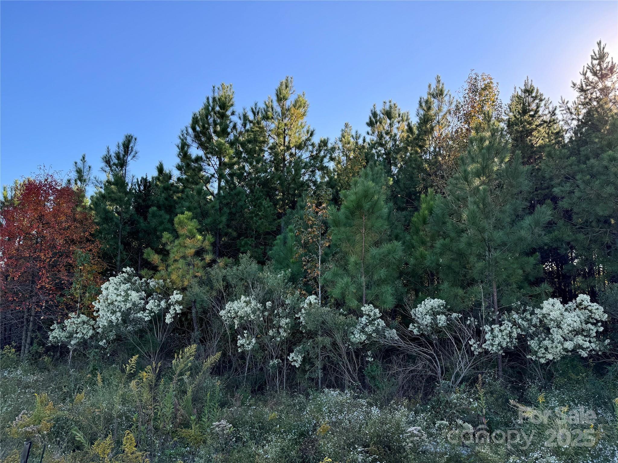 00 NE CONNECTOR ByPass