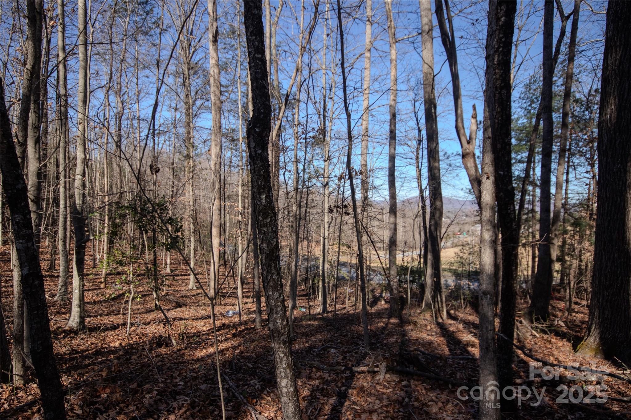 Huntington Woods North - Land