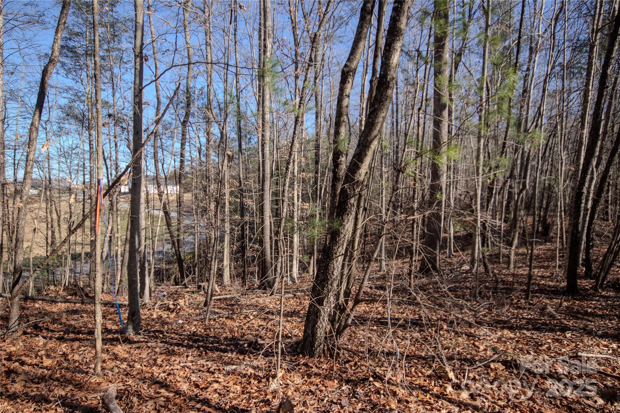 Lot# 80 Huntington Woods Street SE 80