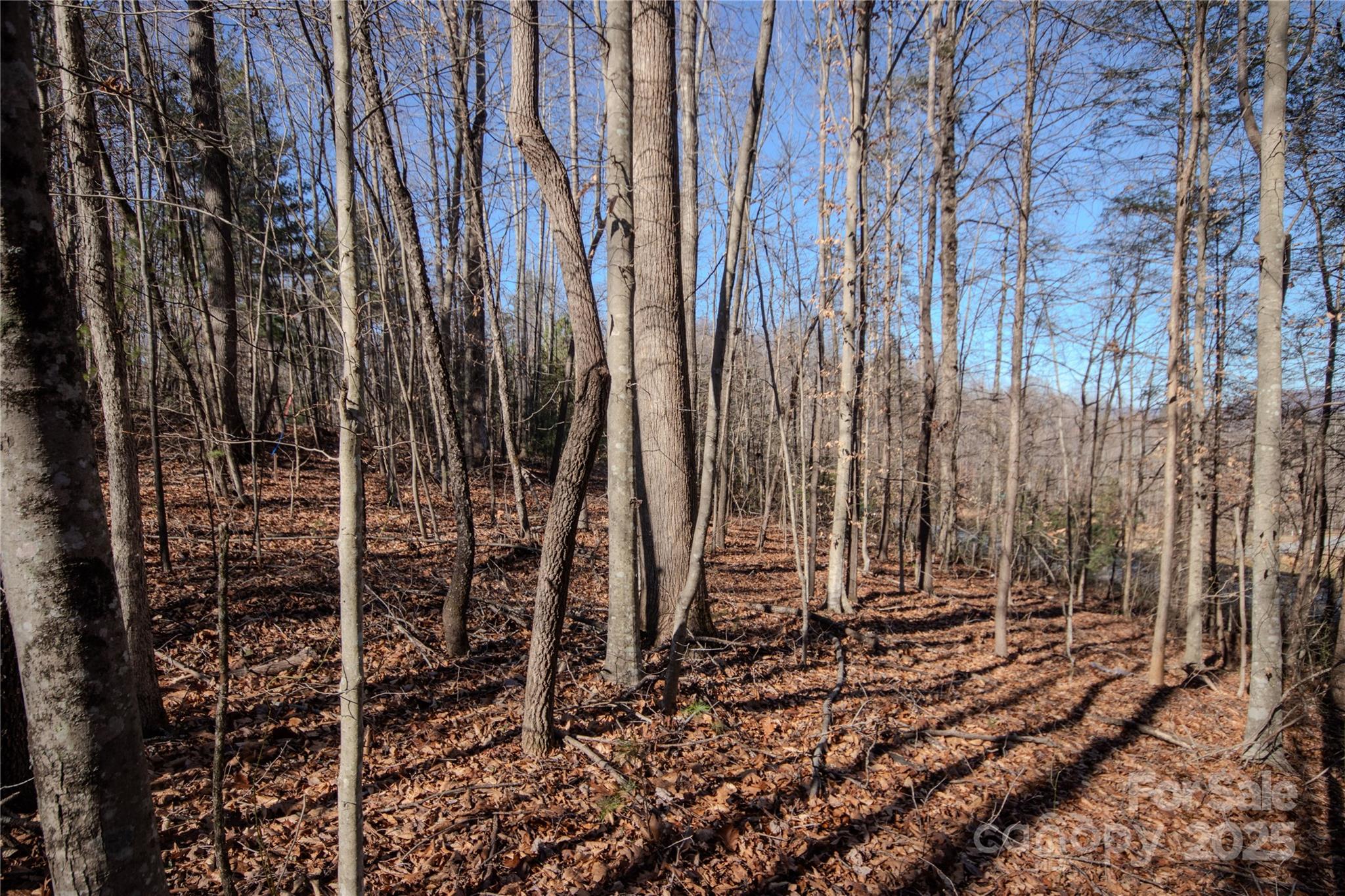 Huntington Woods North - Land