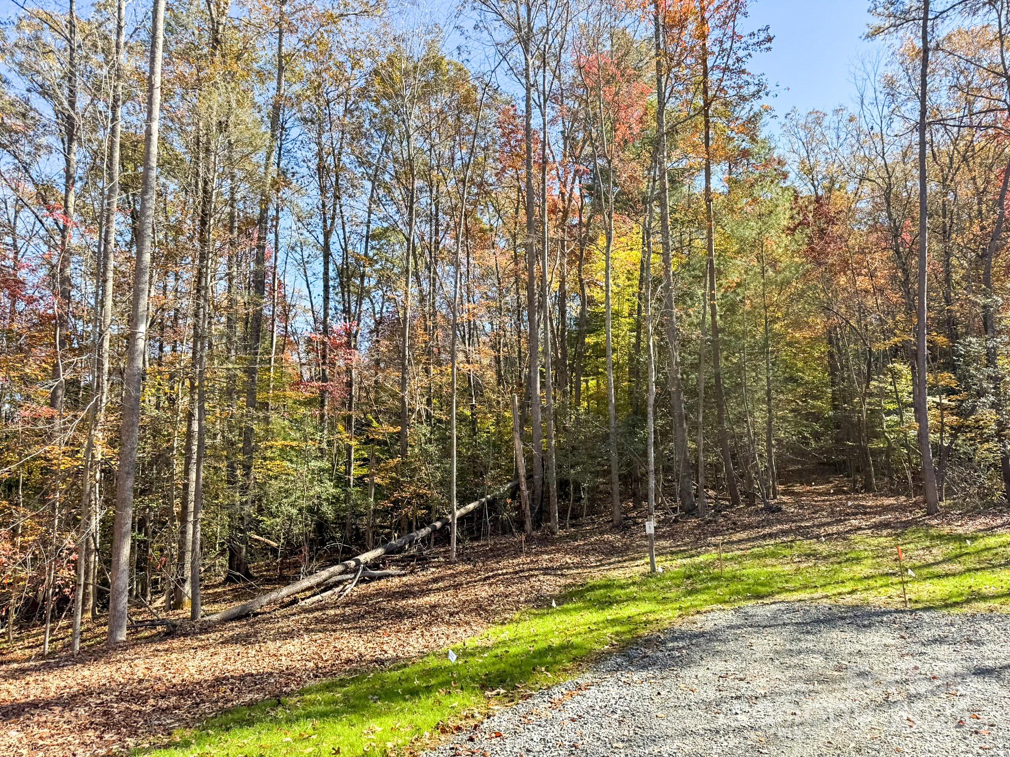 000 Nature Walk Lane 8