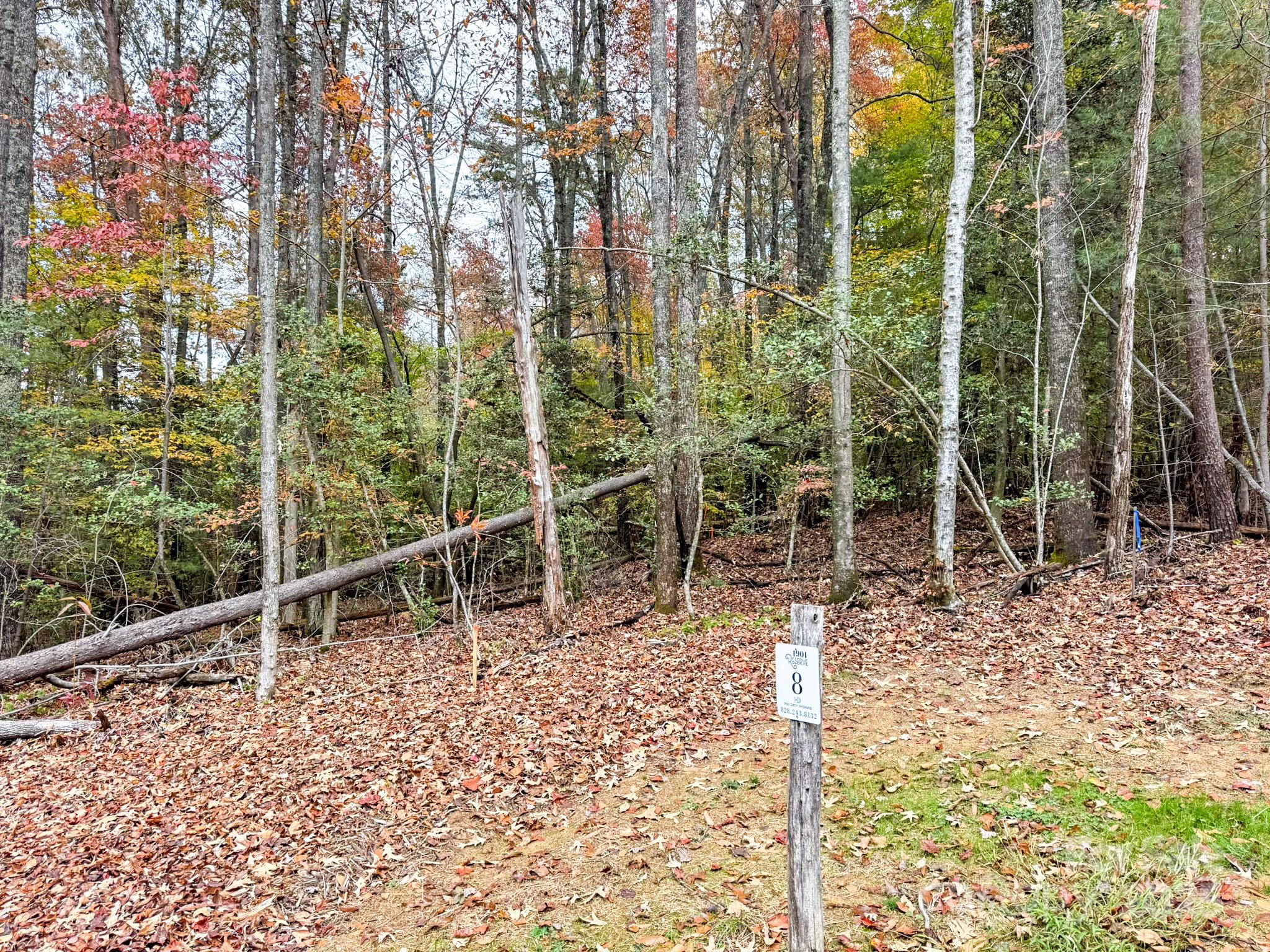 000 Nature Walk Lane 8