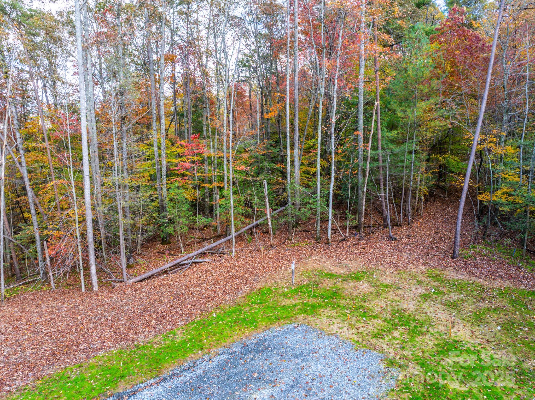 000 Nature Walk Lane 8