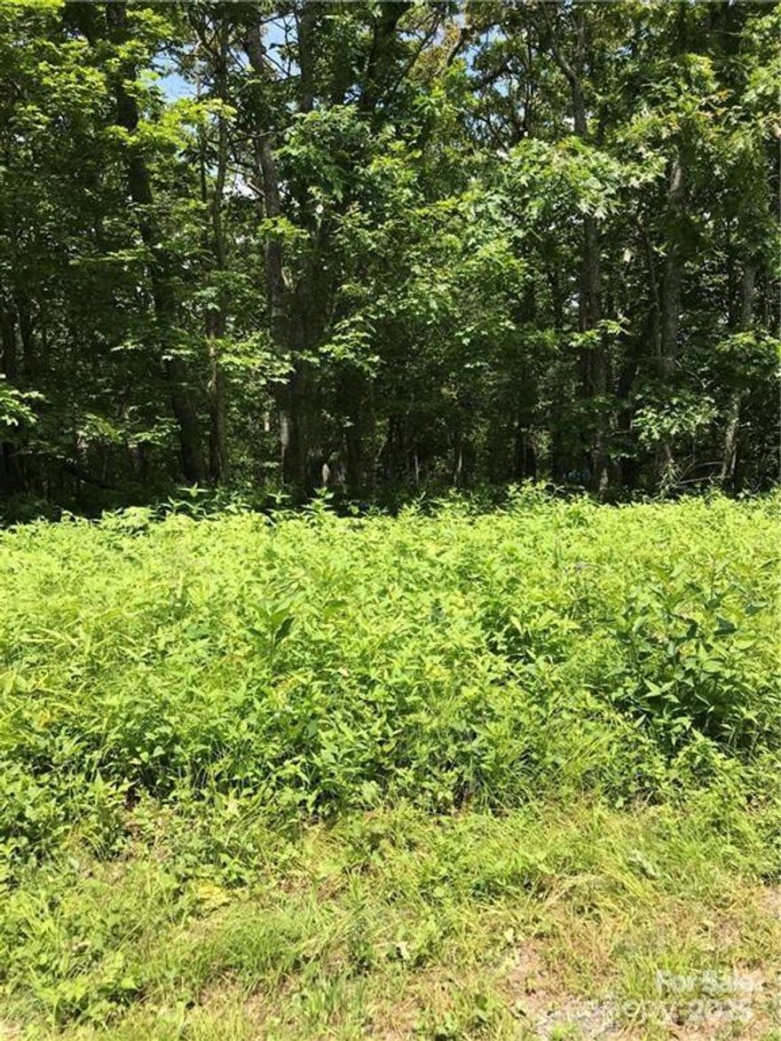 Beautiful Building lot in gated Top of Boone Subdivision.  Lot is a gentle slope and is mostly wooded.  Very quite neighborhood with an abundance of wildlife for viewing.  Close to Boone, Blowing Rock, shopping, App State  and ski slopes.  Ideal for vacation home or secluded residence.