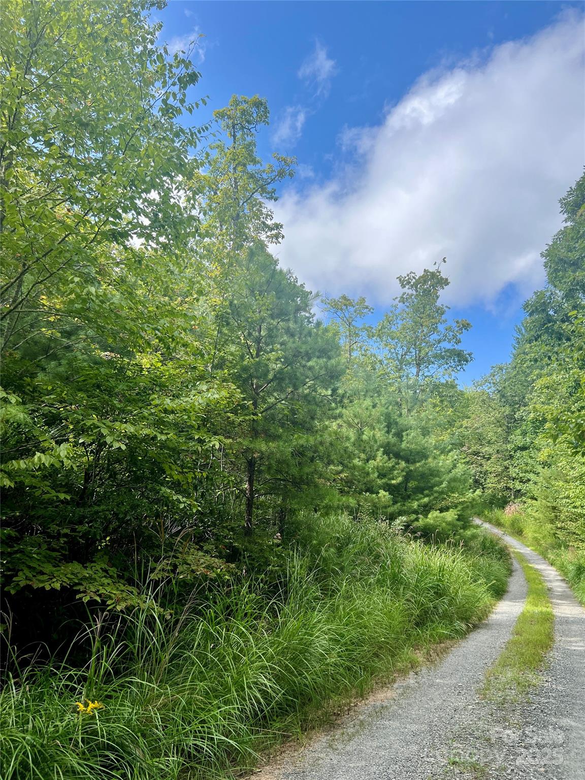 Dogwood Mountain Estates - Land