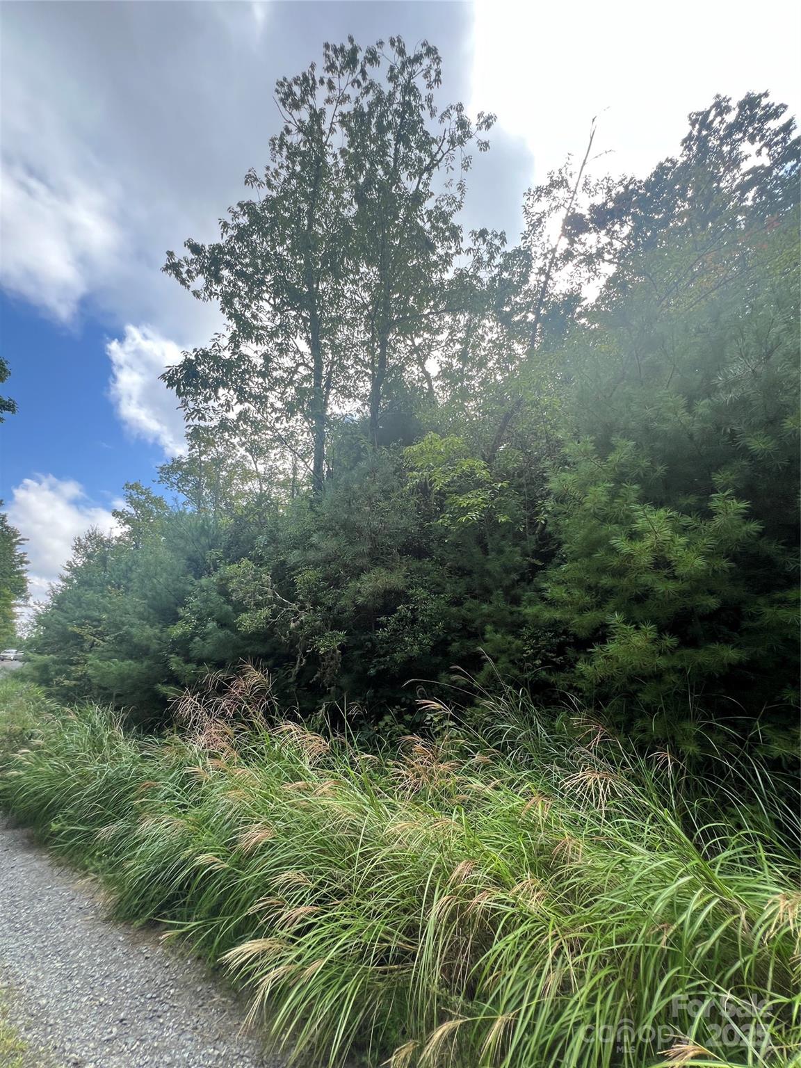 Dogwood Mountain Estates - Land