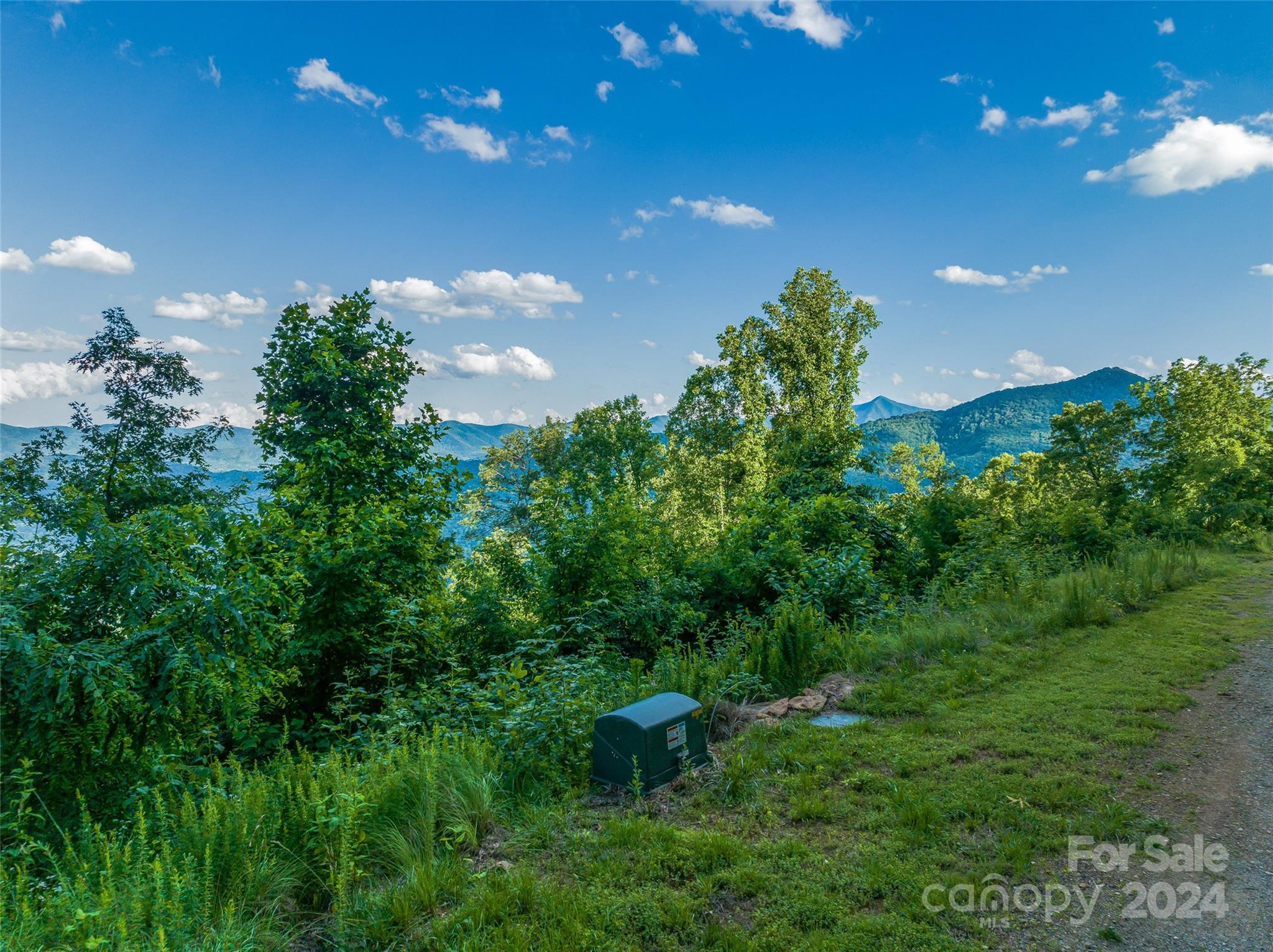 The Summit Of Asheville - Land