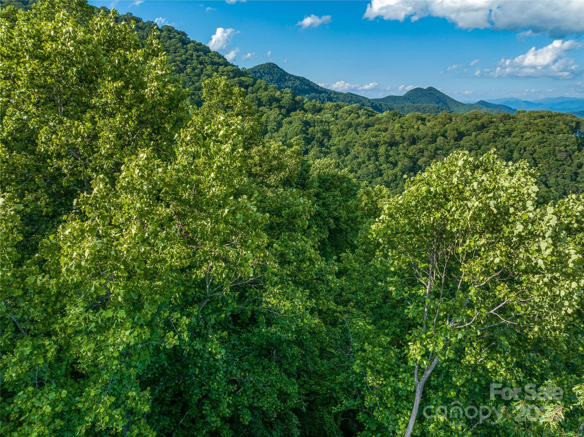 The Summit Of Asheville - Land
