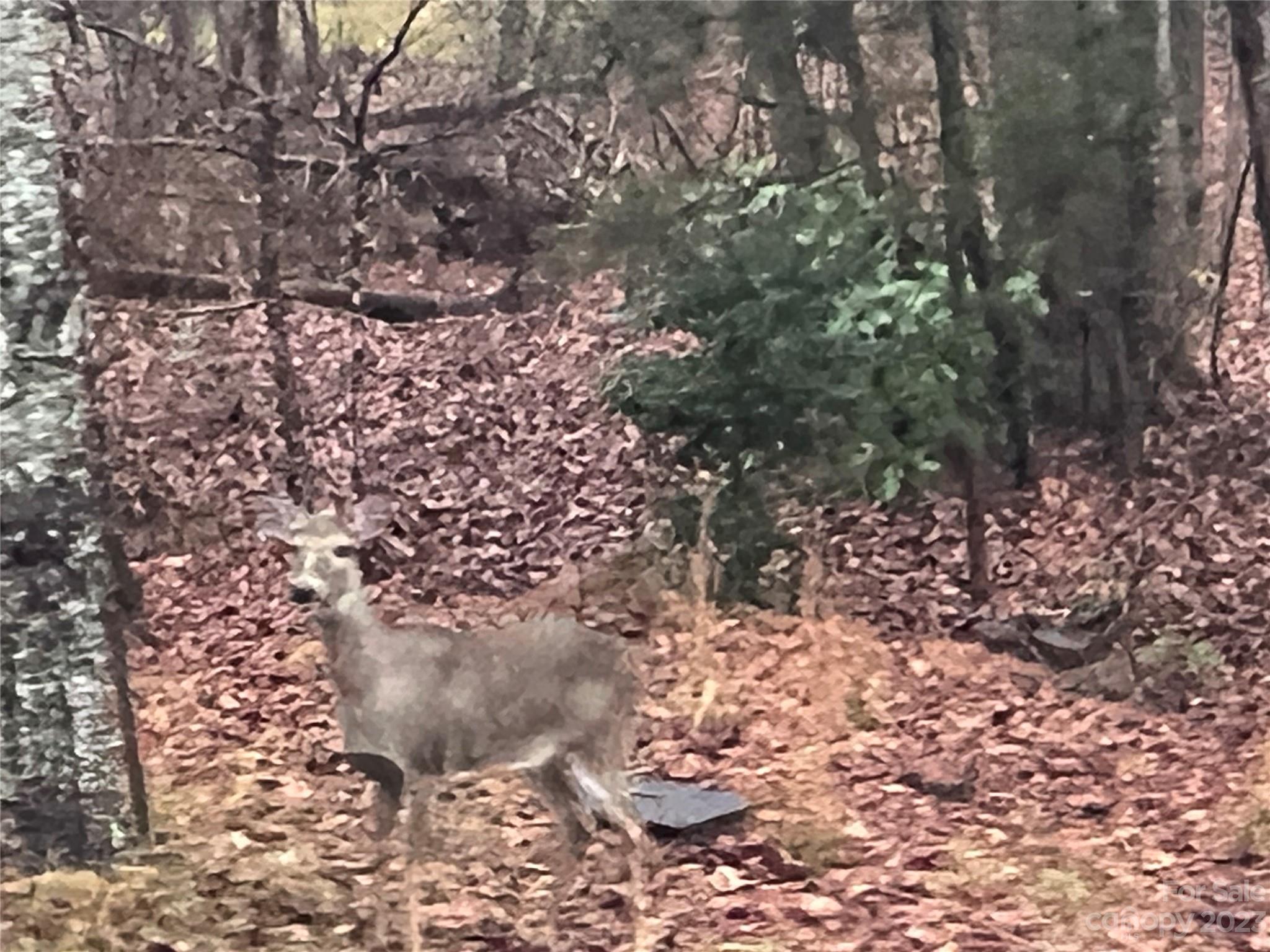 Shumont Estates - Residential