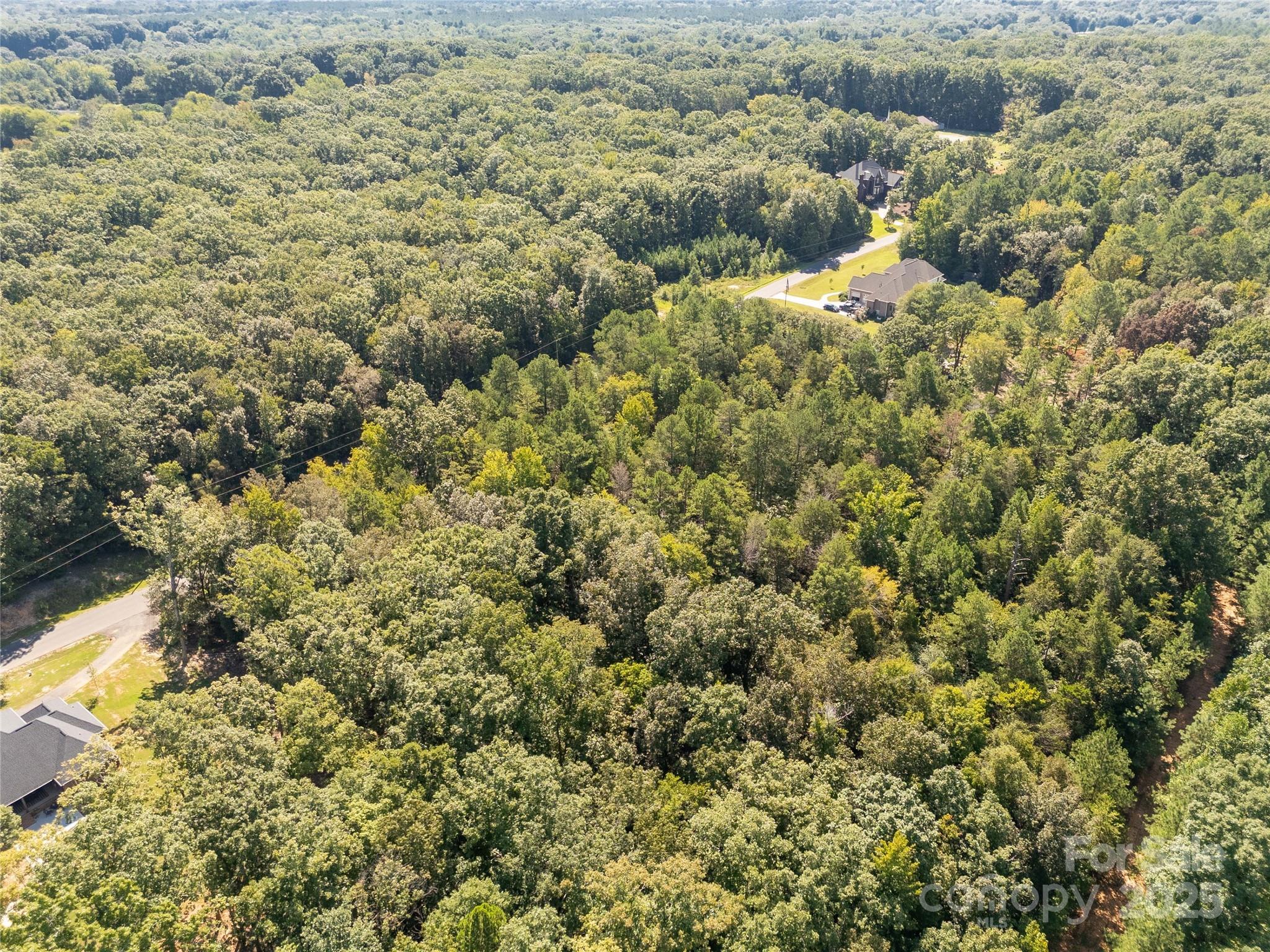 00 Greyfox Estates Road 38