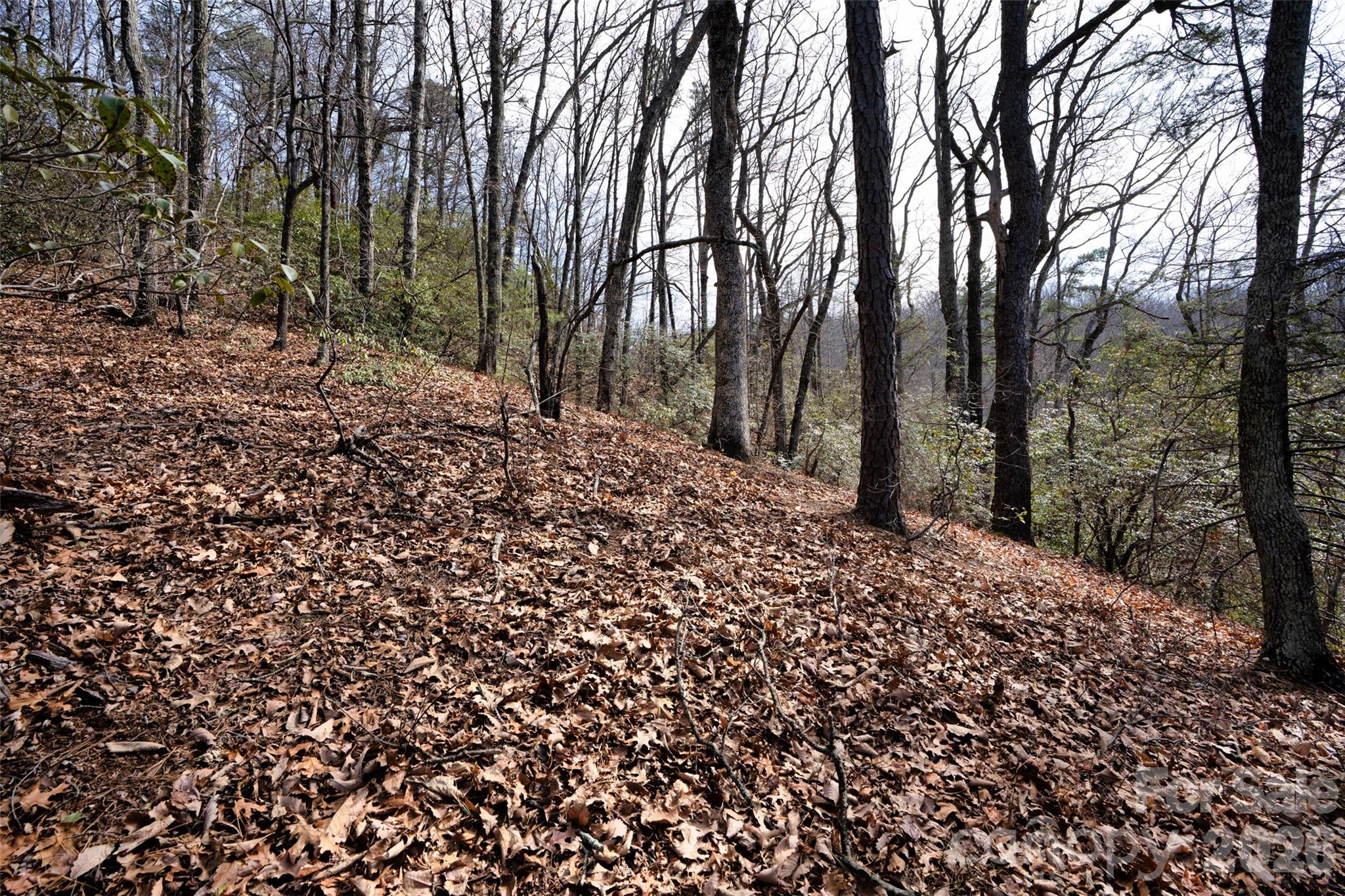 Riverbend Highlands - Land