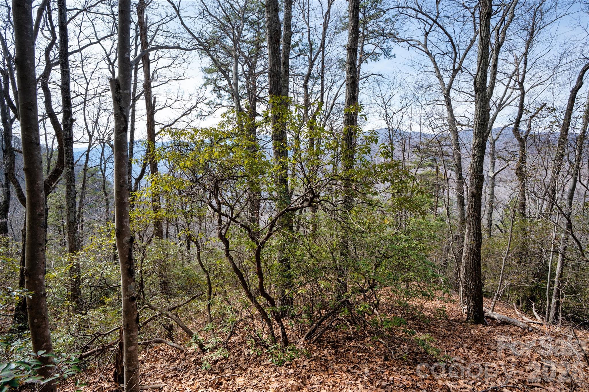 Riverbend Highlands - Land