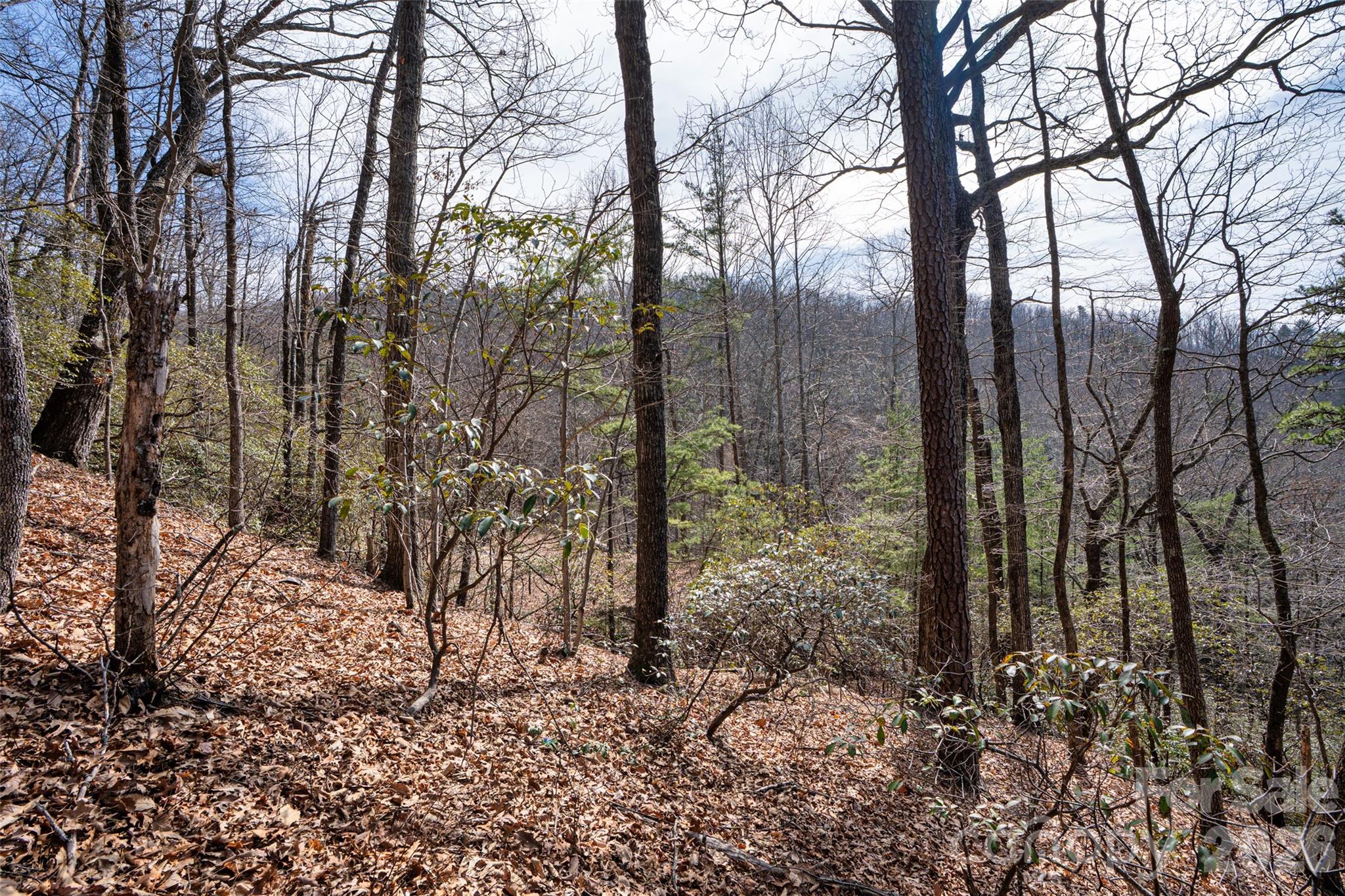 Riverbend Highlands - Land