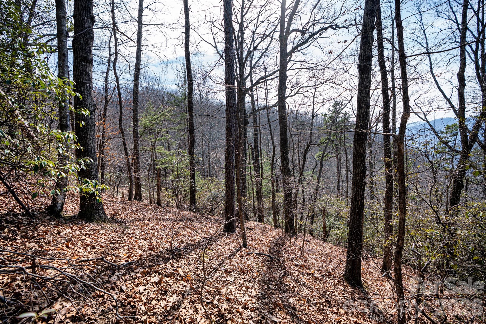 Riverbend Highlands - Land