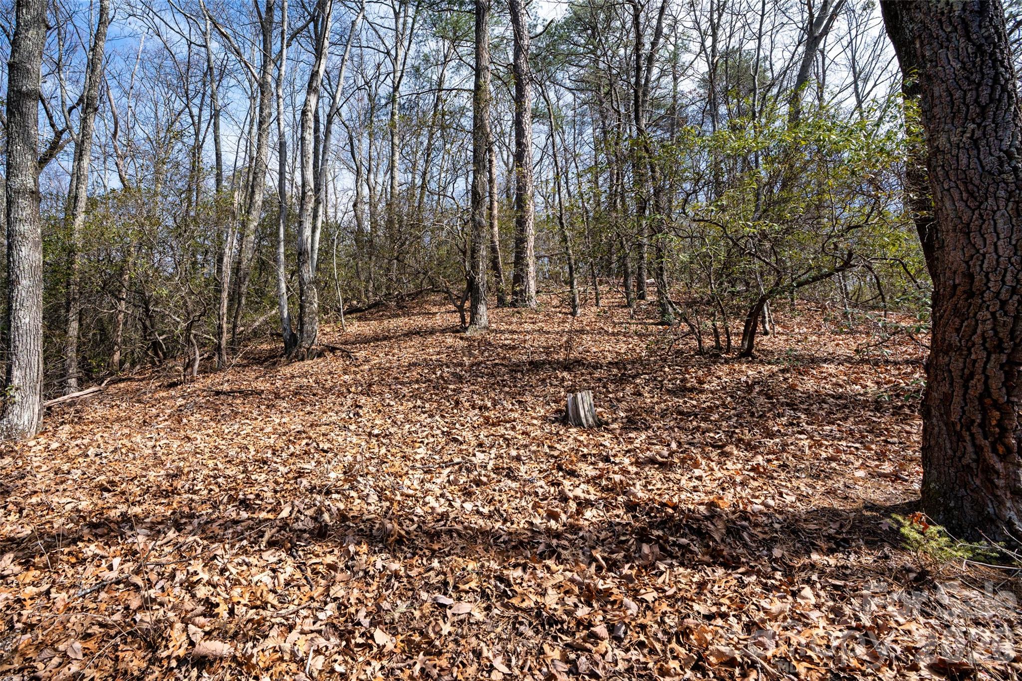 Riverbend Highlands - Land