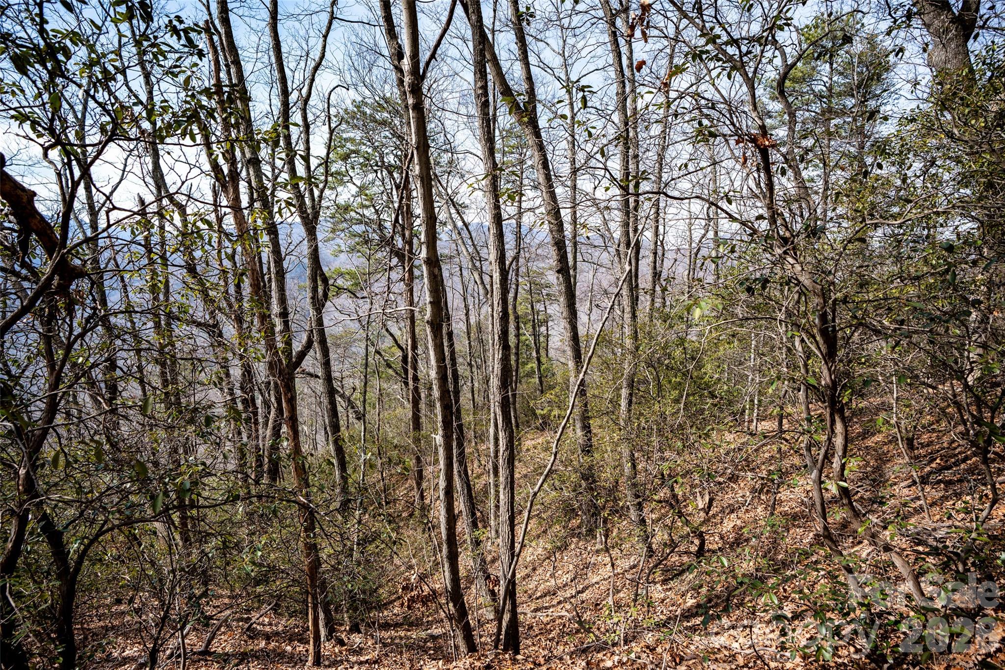 Riverbend Highlands - Land