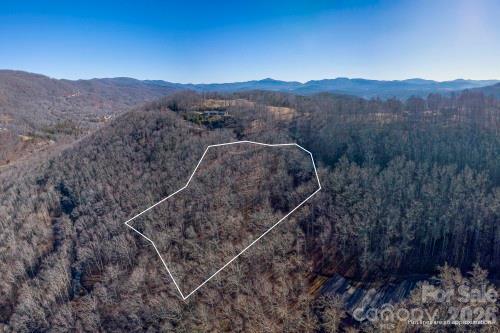 Chestnut Mountain - Land