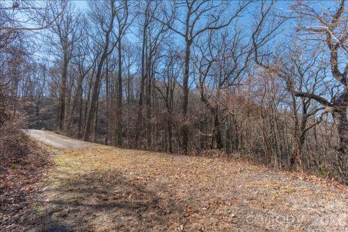 Chestnut Mountain - Land