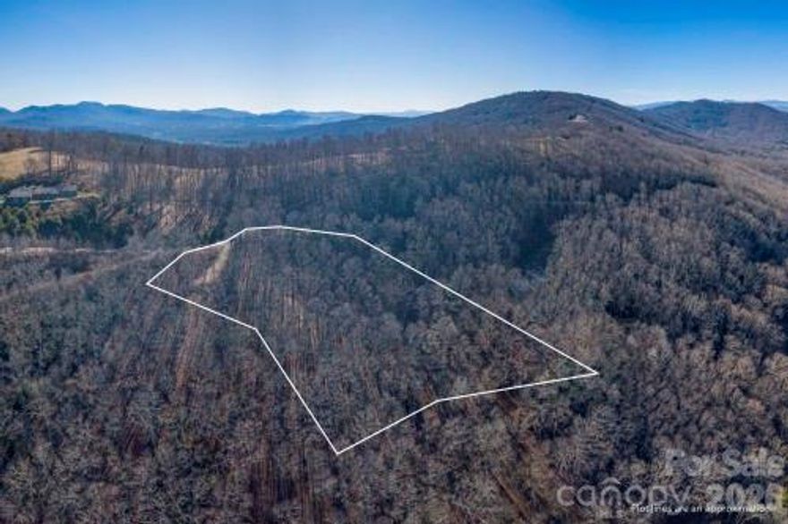 5-acre lot is just 10 minutes from downtown Asheville and 5 minutes to the Blue Ridge Parkway. Spectacular long-range mountain and SUNSET views, walking trails, natural springs, underground utilities and freshly paved roads. Driveway already in place plus house plans are available upon request. Well and septic previously permitted. Great internet service: 170-220 megabits per second! Chestnut Mountain is a beautiful mountainside community, super-accessible to downtown Asheville!