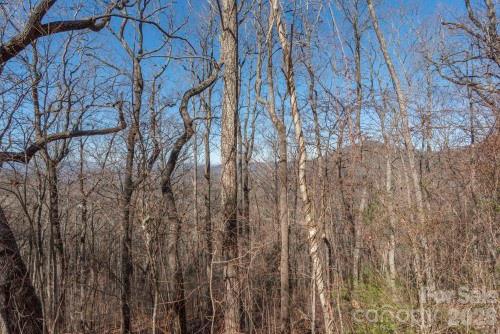 Chestnut Mountain - Land