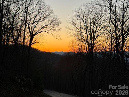 Chestnut Mountain - Land