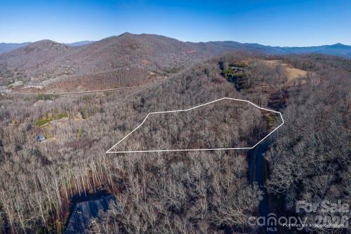 Chestnut Mountain - Land