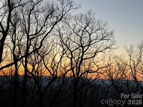 Chestnut Mountain - Land