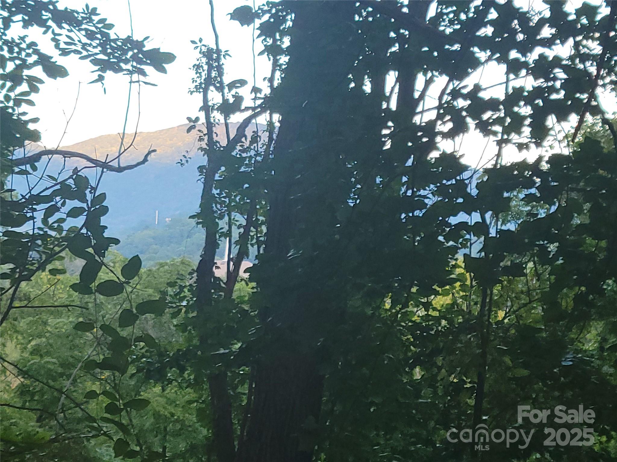 Sulphur Springs Park - Land