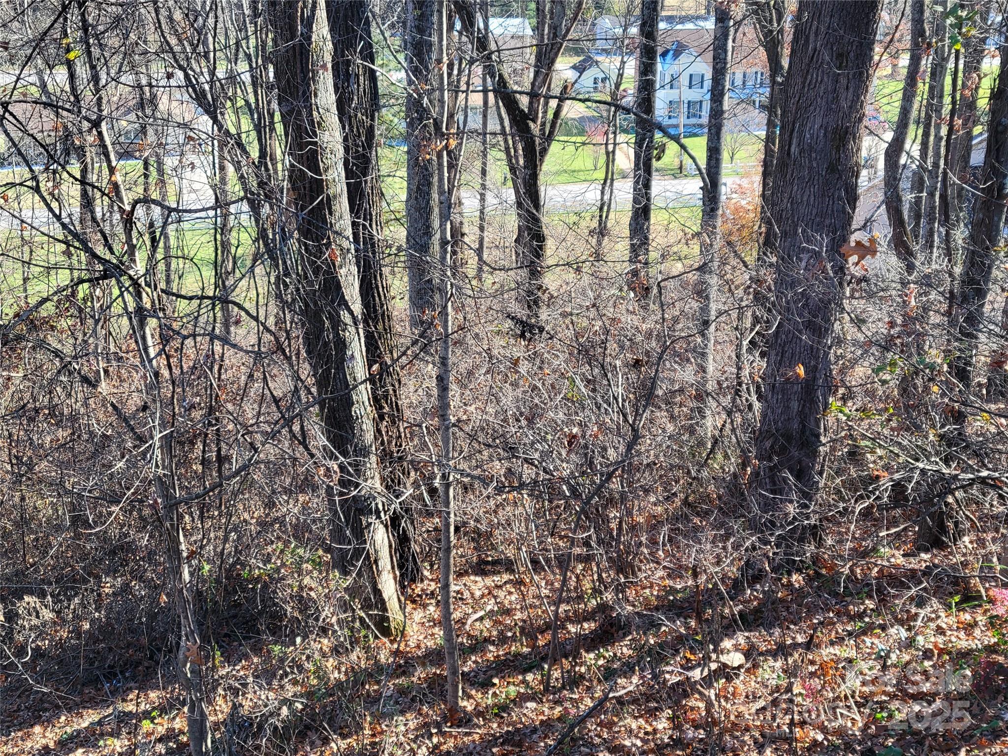 Sulphur Springs Park - Land