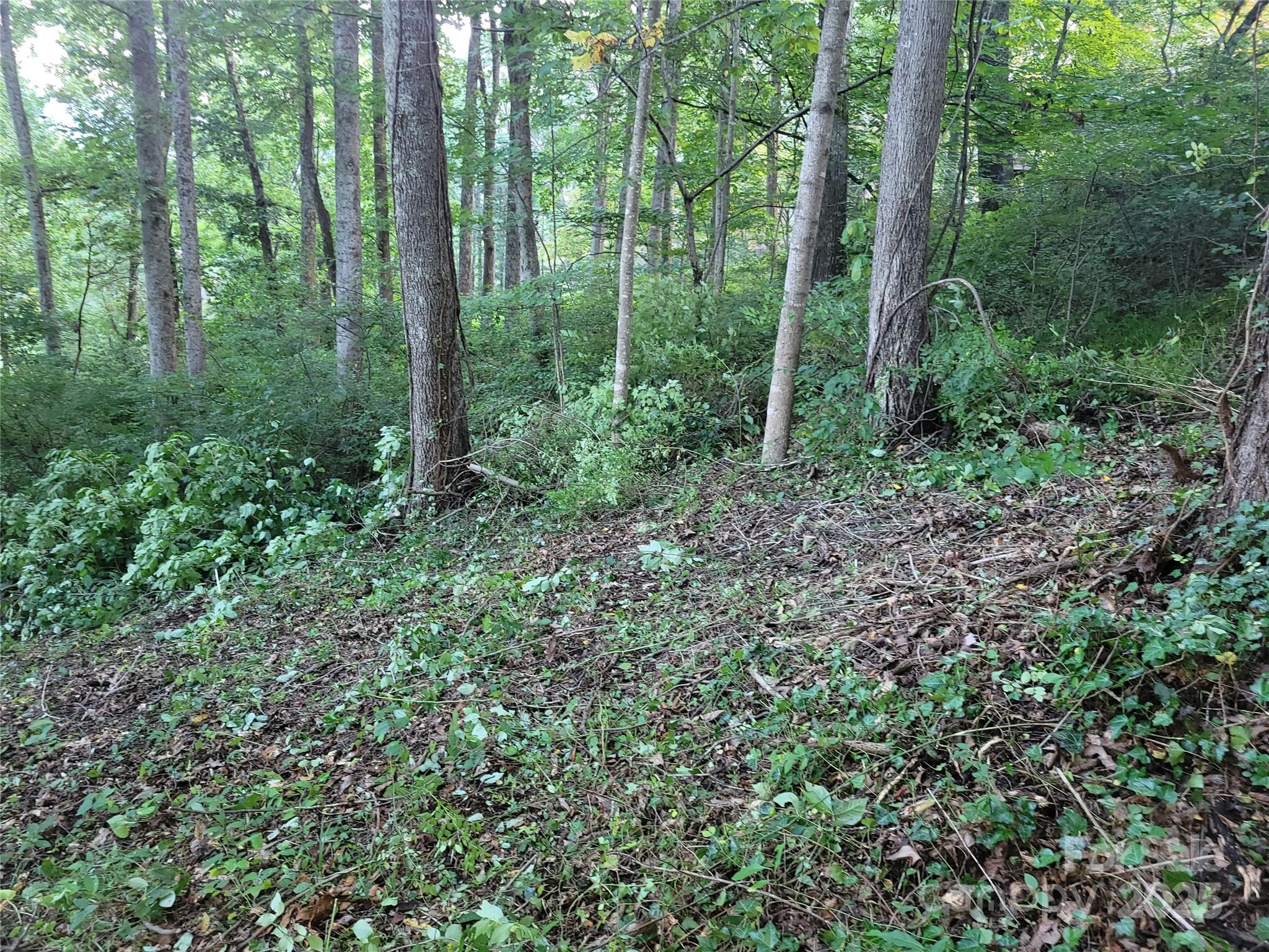 Sulphur Springs Park - Land