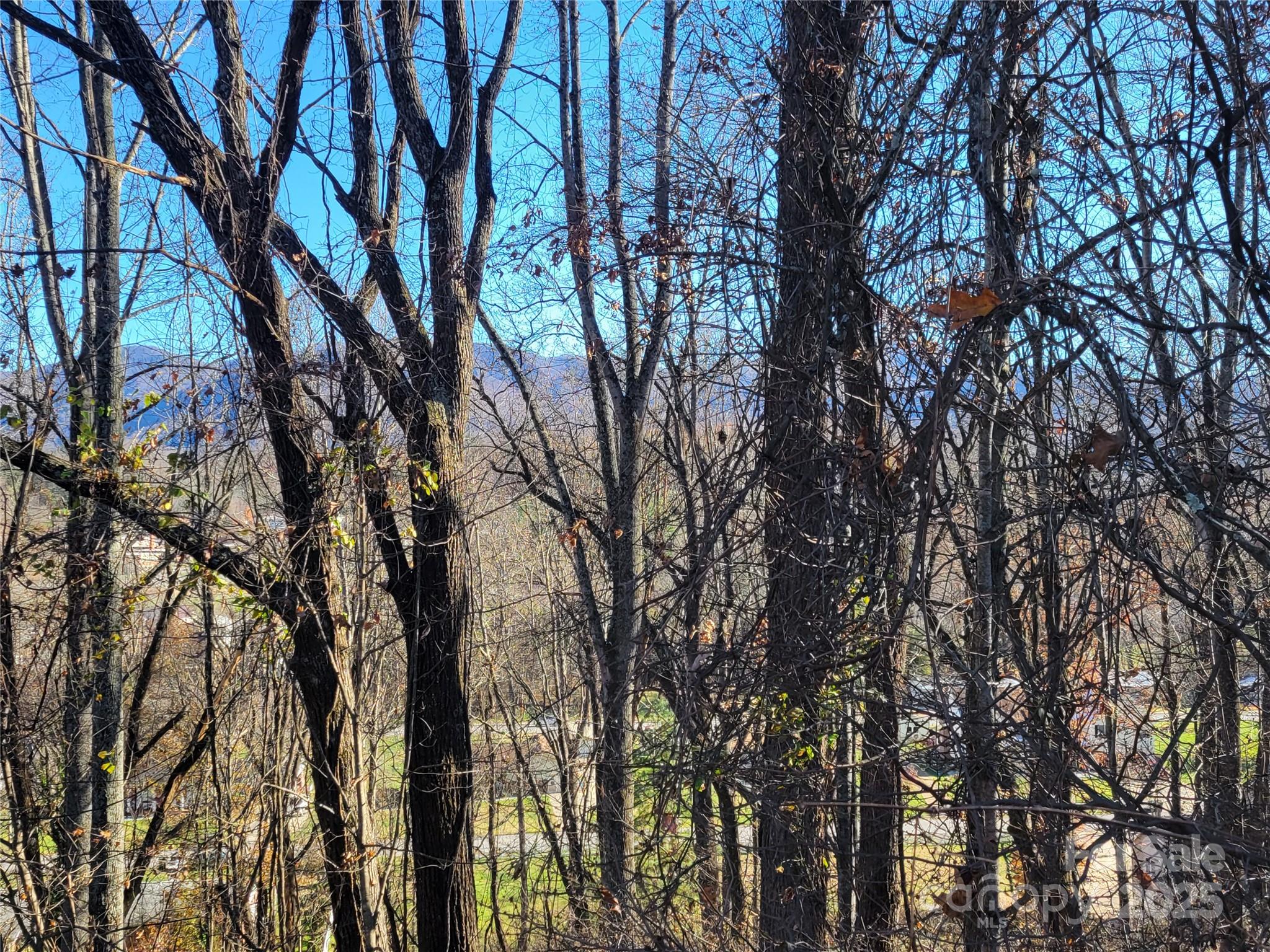 Sulphur Springs Park - Land