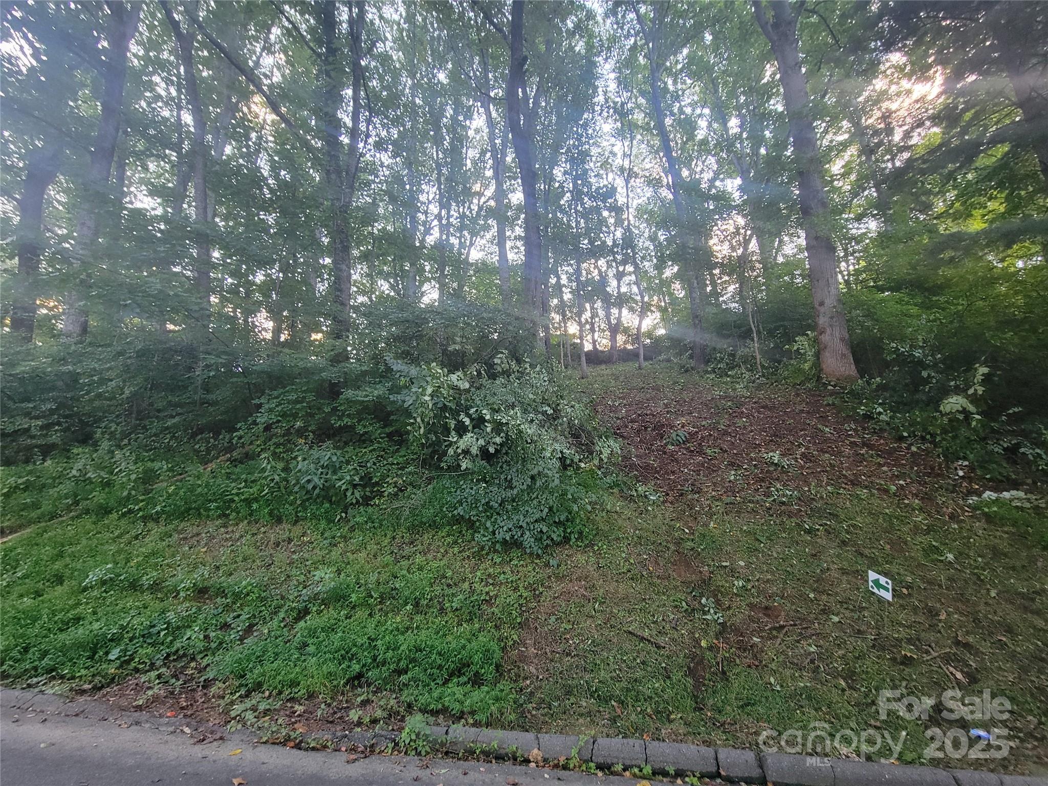 Sulphur Springs Park - Land