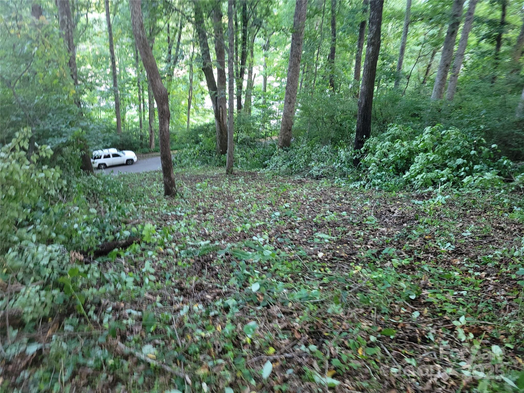 Sulphur Springs Park - Land