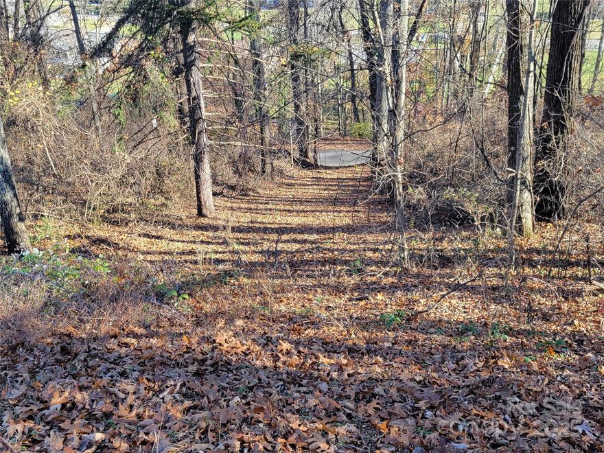 A remarkably rare find has just become available for sale.  A beautiful building lot in the highly desirable area of Blink Bonny in the heart of Waynesville.  This .42 acre is a prime location to build your dream home on.  City water and city sewer available with tap fees. Close to shopping, schools, and minutes to downtown Waynesville. The adjoining lot is also available for purchase. See MLS 4292577  Hurry - this opportunity will not last long.