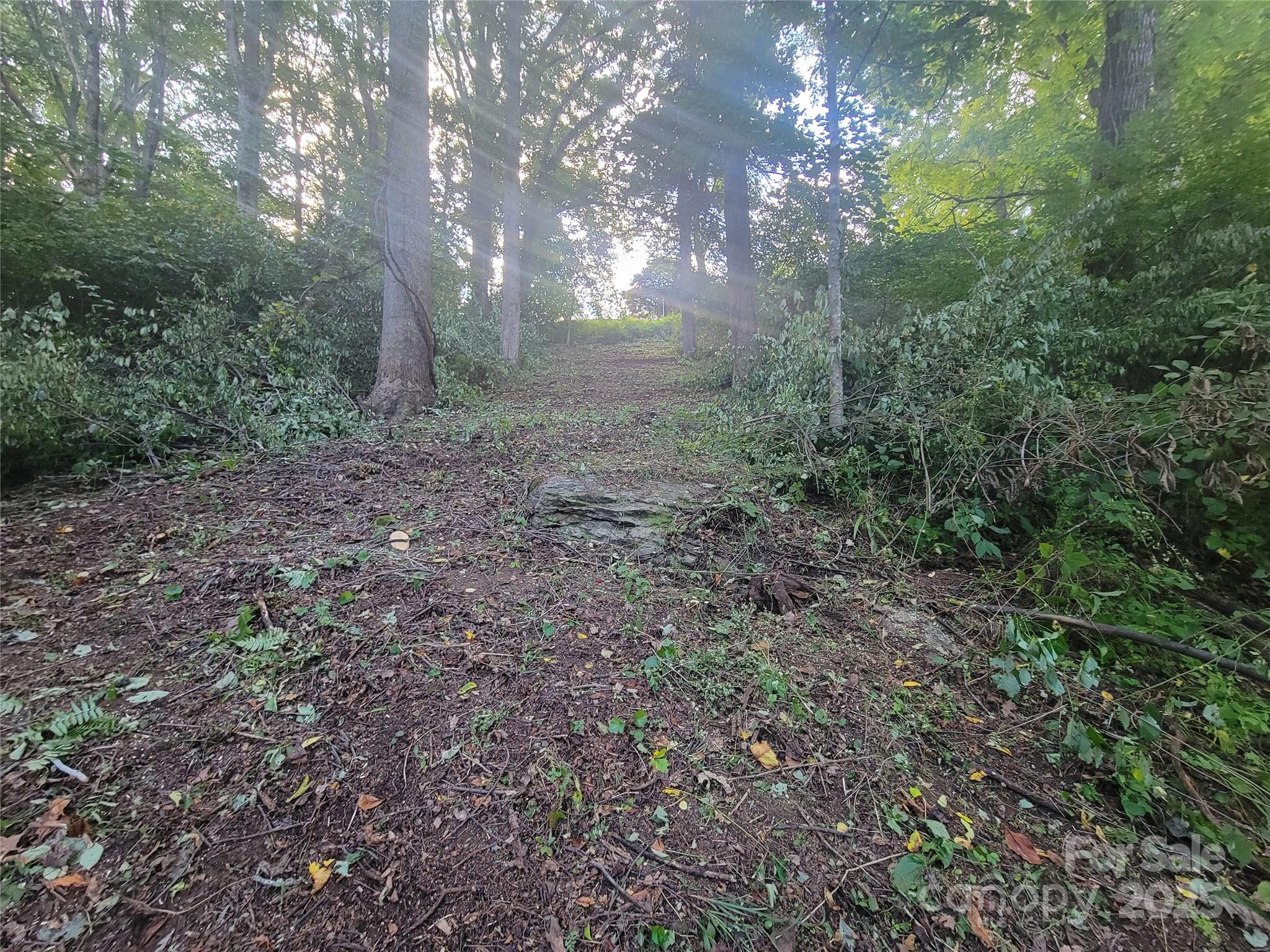 Sulphur Springs Park - Land