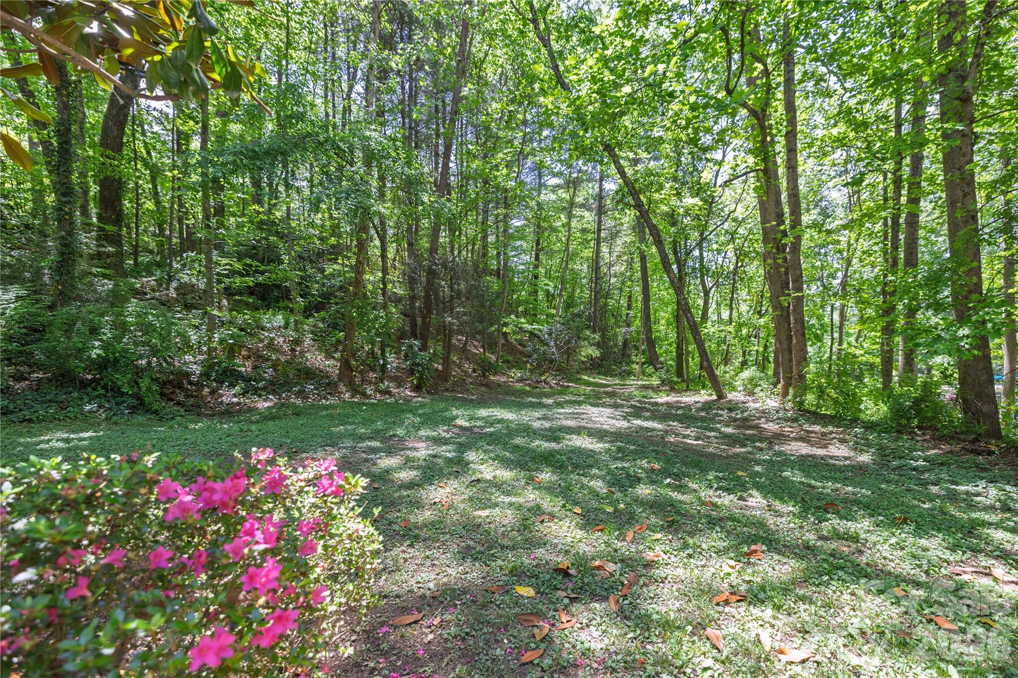 103 Hillside Drive