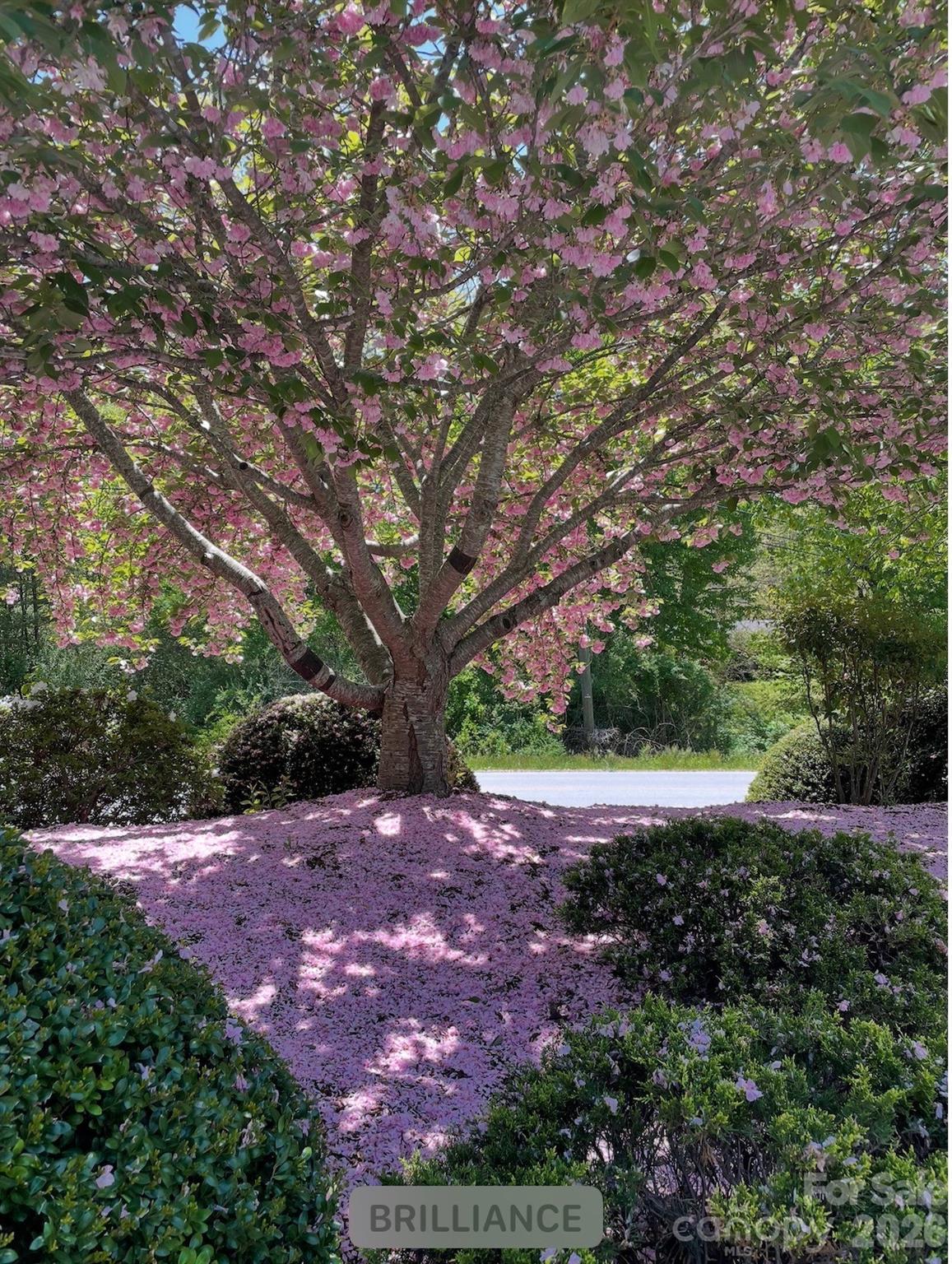 Lake Julian Trails - Residential