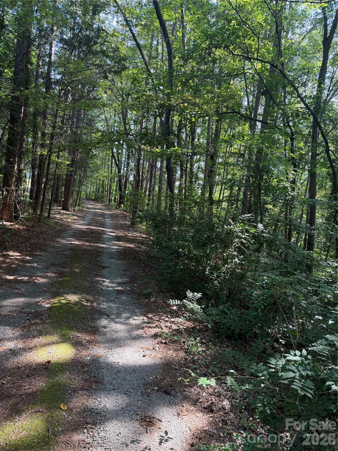 202 Horseshoe Lake Road