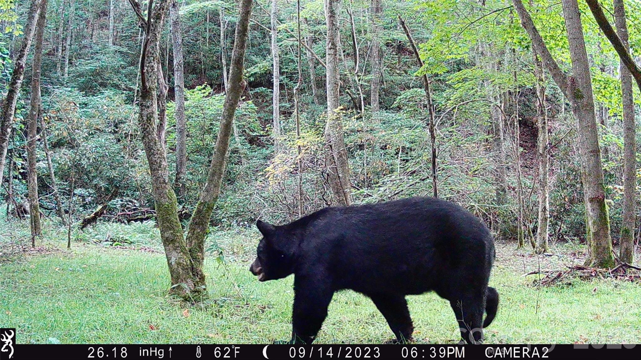 2778 Mule Stomp Road